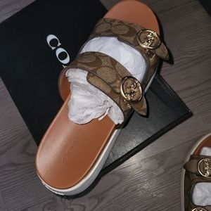Gable Signature Sandal/size:10